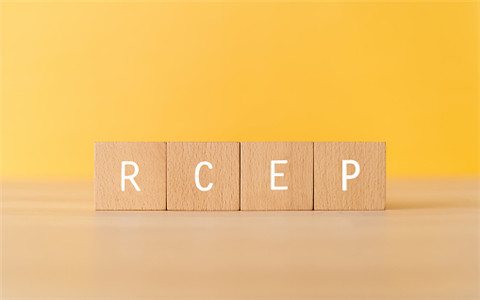 RCEP的由來