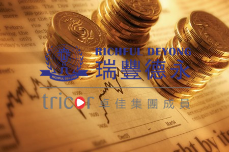 荷蘭公司類型