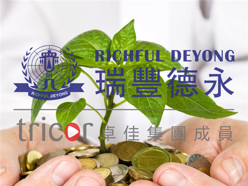 新加坡公司稅制度